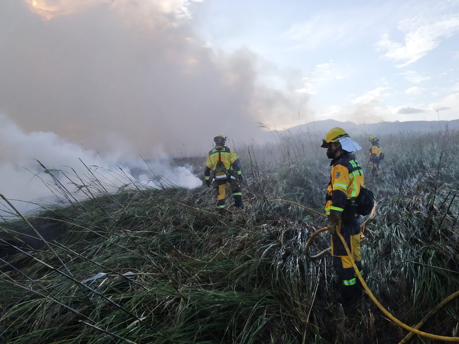 Extinguido el incedio forestal de s'Albufera de Alcúdia, tras calcinar 438 hectáreas de cañizo Extinguido el incedio forestal de s'Albufera de Alcúdia, tras calcinar 438 hectáreas de cañizo