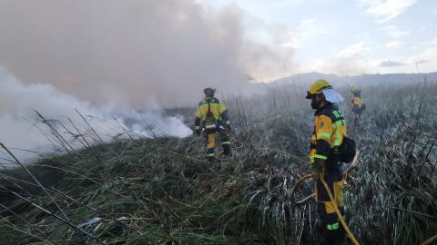 Indencio forestal de s'Albufera en Mallorca