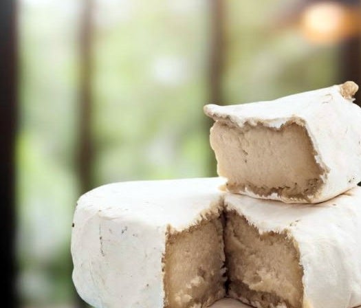 El queso de una empresa de la UMH de Elche se cuela en el top 20 de los productos veganos El queso de una empresa de la UMH de Elche se cuela en el top 20 de los productos veganos