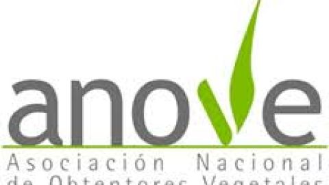 D&iacute;a Mundial de la Alimentaci&oacute;n