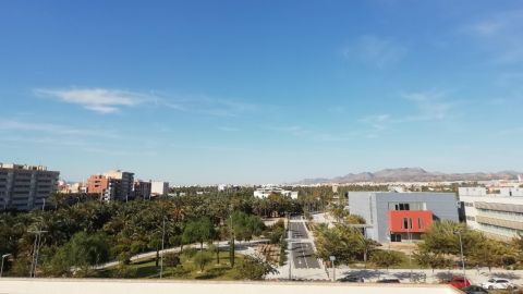 Vista de Elche desde el campus de la Universidad Miguel Hern&aacute;ndez.