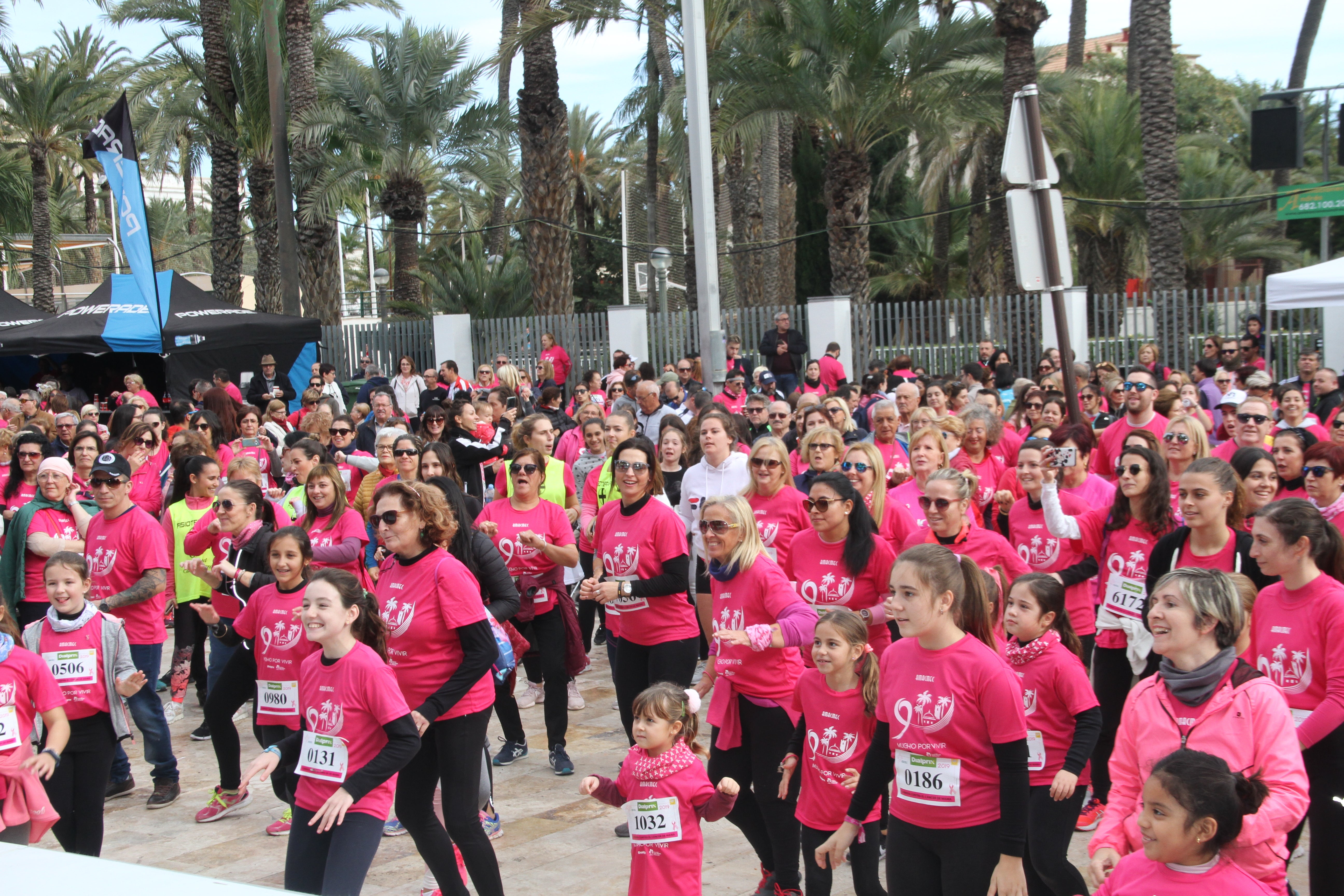 La carrera contra el cáncer de mama será virtual e individual el fin de semana del 27 al 29 de noviembre La carrera contra el cáncer de mama será virtual e individual el fin de semana del 27 al 29 de noviembre