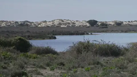 ¿De qué cantidad de agua disponemos en caso de necesidad extrema? Nos adentramos en el acuífero de Doñana ¿De qué cantidad de agua disponemos en caso de necesidad extrema? Nos adentramos en el acuífero de Doñana