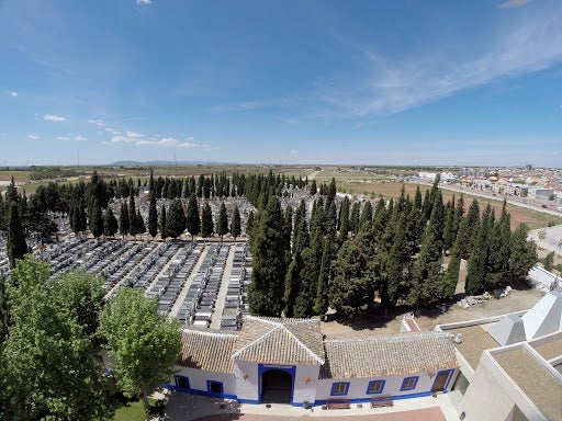 Ya está funcionando la cita con la APP en las floristerías alcazareñas Ya está funcionando la cita con la APP en las floristerías alcazareñas