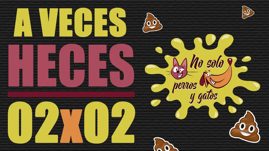 Portada del programa T02x02 de No solo perros y gatos Portada del programa T02x02 de No solo perros y gatos