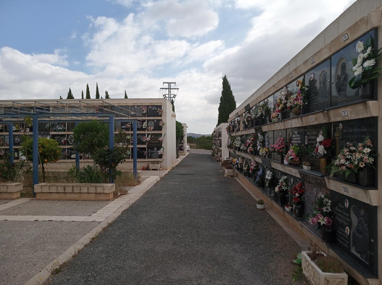 El Ayuntamiento de Elche proyecta la construcción de 337 nuevos nichos en el Cementerio Nuevo El Ayuntamiento de Elche proyecta la construcción de 337 nuevos nichos en el Cementerio Nuevo