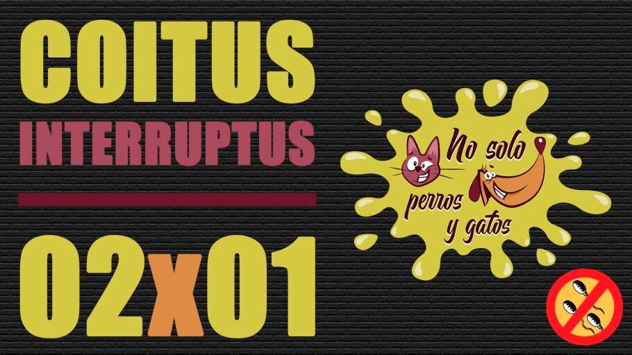 Portada del programa T02x01 de No solo perros y gatos