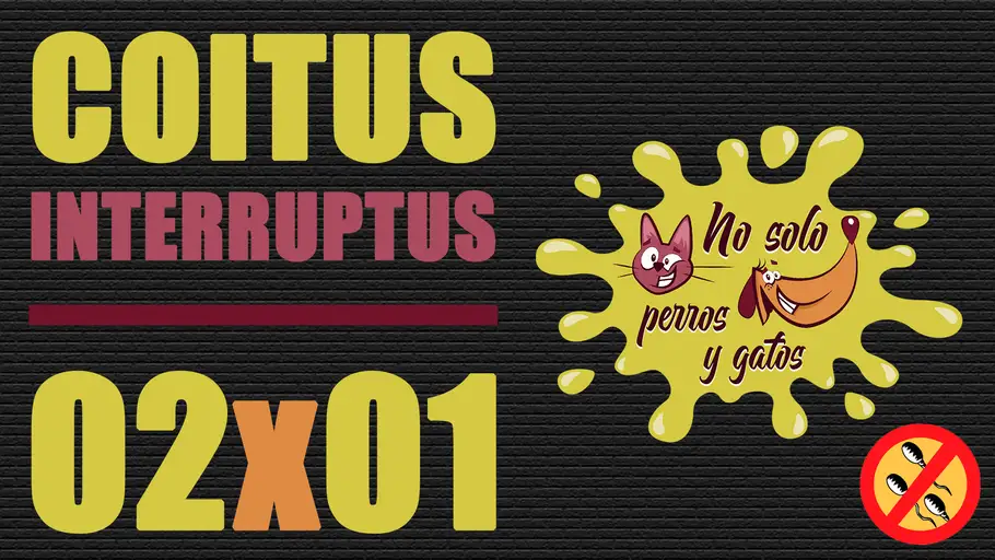Portada del programa T02x01 de No solo perros y gatos Portada del programa T02x01 de No solo perros y gatos