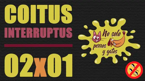 Portada del programa T02x01 de No solo perros y gatos Portada del programa T02x01 de No solo perros y gatos