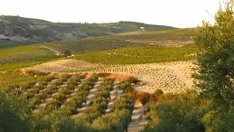 Más de Uno Córdoba Más de Uno Córdoba