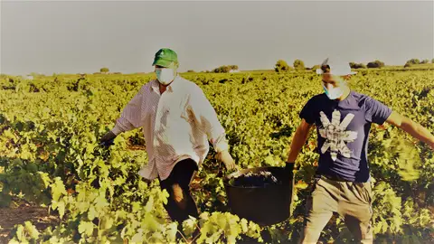 Vendimiadores Portando una espuerta