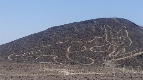 Descubren la figura de un gato de 37 metros ocultada 2.000 a&ntilde;os en la Pampa de Nazca, Per&uacute;