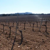 Campo manchego Campo manchego