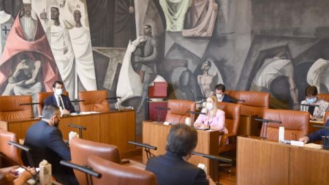 Pleno de la Diputaci&oacute;n de Ciudad Real