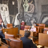 Pleno de la Diputación de Ciudad Real Pleno de la Diputación de Ciudad Real
