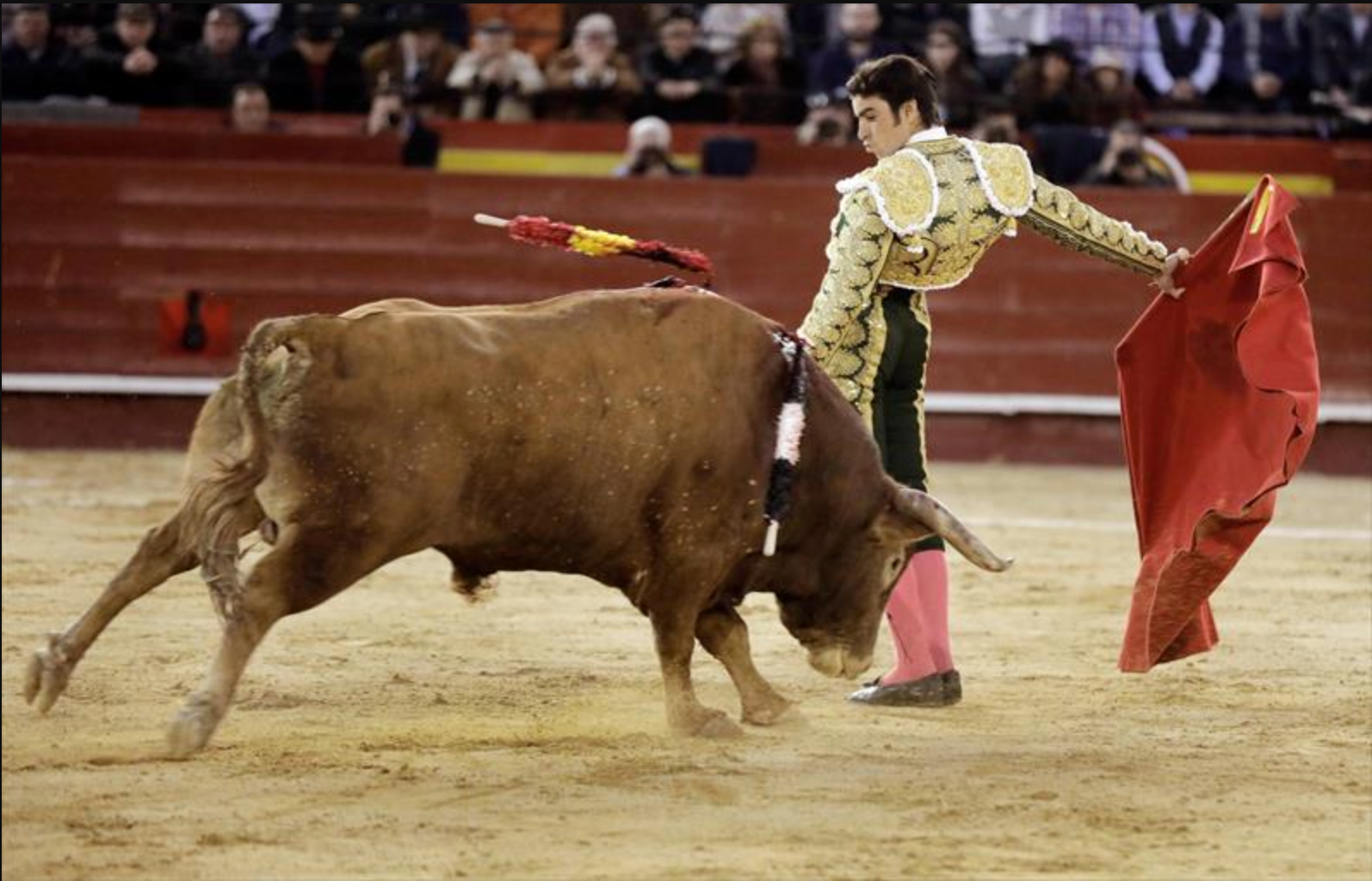 En 2019 se celebraron 140 festejos taurinos en los que utilizaron alrededor de 600 animales en la provincia de Ciudad Real En 2019 se celebraron 140 festejos taurinos en los que utilizaron alrededor de 600 animales en la provincia de Ciudad Real