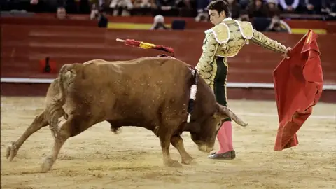La ACACR ha publicado su informe provincial sobre los festejos taurinos en 2019 La ACACR ha publicado su informe provincial sobre los festejos taurinos en 2019