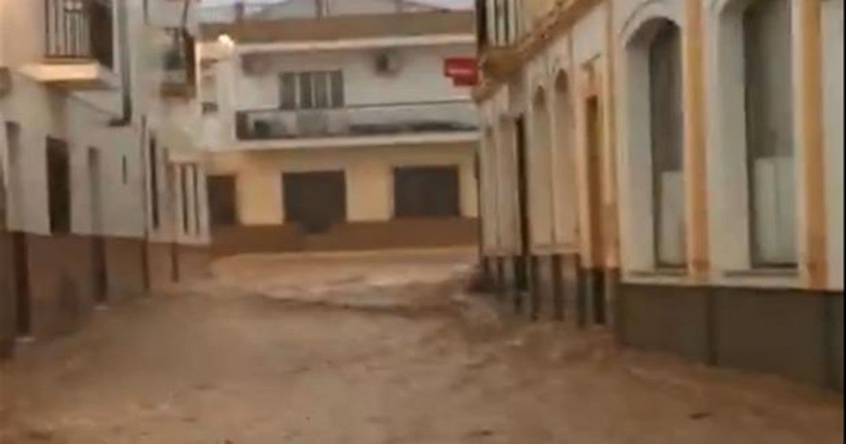 Riada en la calle principal en Cabezas Rubias y caída de árboles y otros daños en la provincia Riada en la calle principal en Cabezas Rubias y caída de árboles y otros daños en la provincia