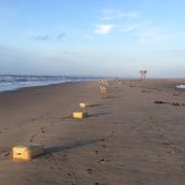Fardos de hachis en la playa de Isla Canela