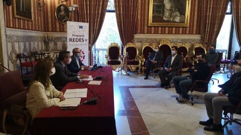 Presentaci&oacute;n proyecto formaci&oacute;n Redes+