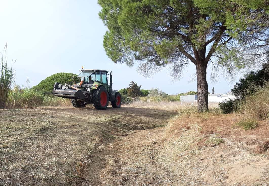 Medio Ambiente limpia y desbroza el entorno del Caño del Romeral Medio Ambiente limpia y desbroza el entorno del Caño del Romeral
