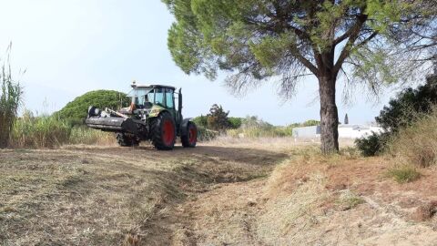 Trabajos en el ca&ntilde;o del Romeral