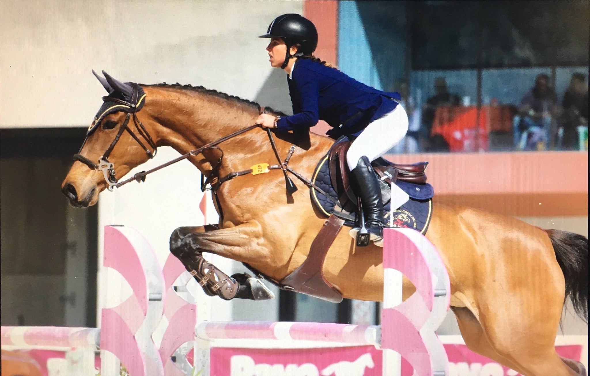 Marta Mesa, la única marbellí en la élite de la hípica Marta Mesa, la única marbellí en la élite de la hípica