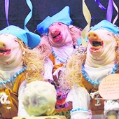Un escaparate de Tosantos en Cádiz Un escaparate de Tosantos en Cádiz