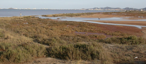El colector norte del Mar Menor supondrá el vertido de entre 600 y 2.400 toneladas anuales de nitratos al Mediterráneo El colector norte del Mar Menor supondrá el vertido de entre 600 y 2.400 toneladas anuales de nitratos al Mediterráneo