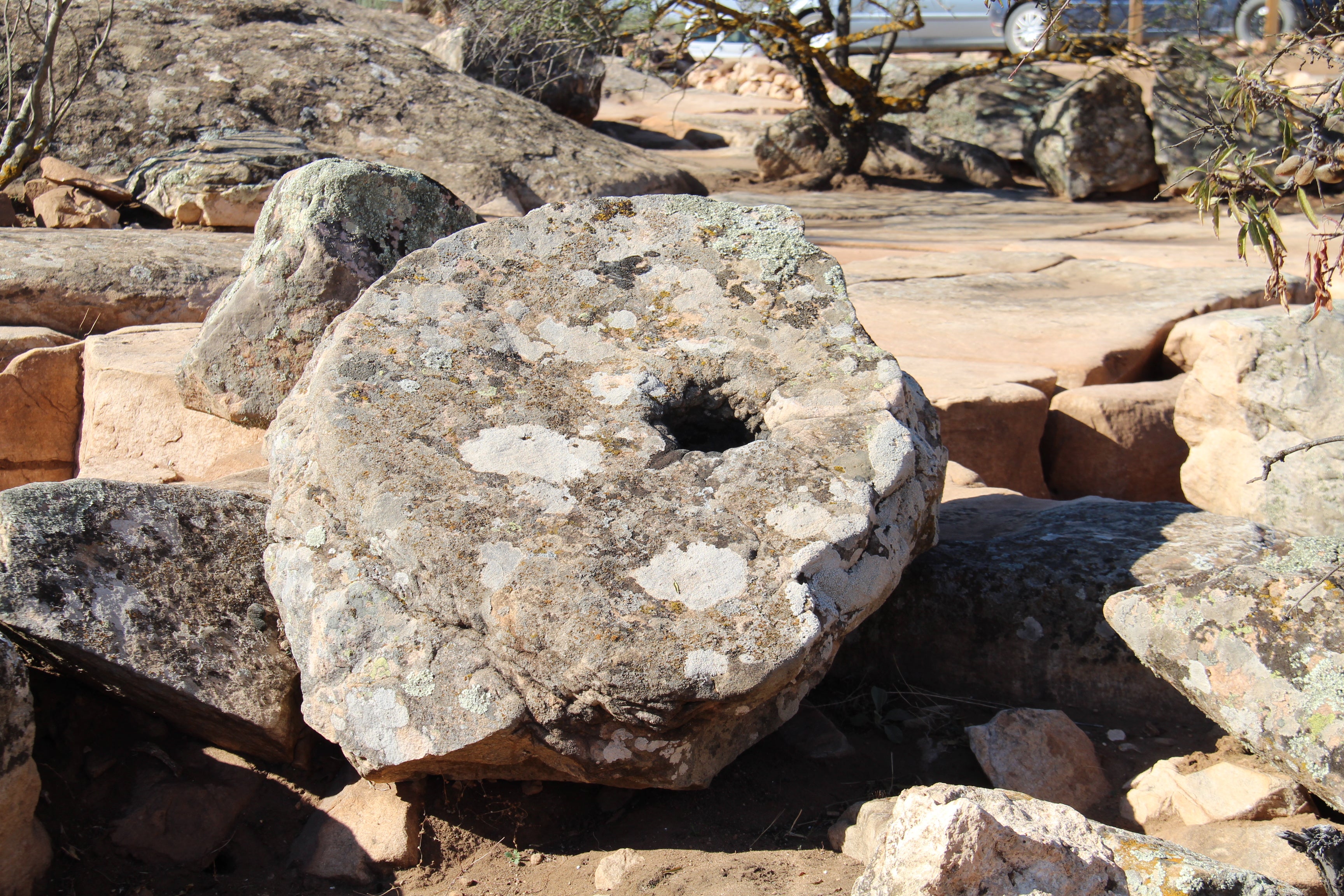 Ayuntamiento de Alcázar y Folia Project firman un convenio para reforestar Piédrola Ayuntamiento de Alcázar y Folia Project firman un convenio para reforestar Piédrola
