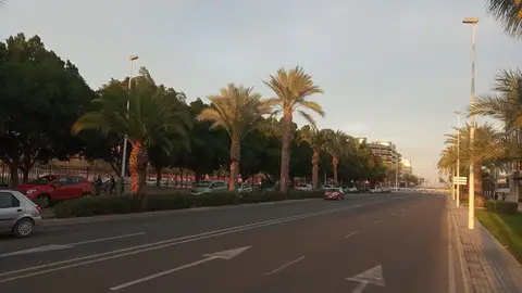 Avenida de Alicante de Elche. Avenida de Alicante de Elche.