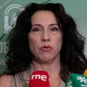 Rocío Ruiz, Consejera de Igualdad Rocío Ruiz, Consejera de Igualdad