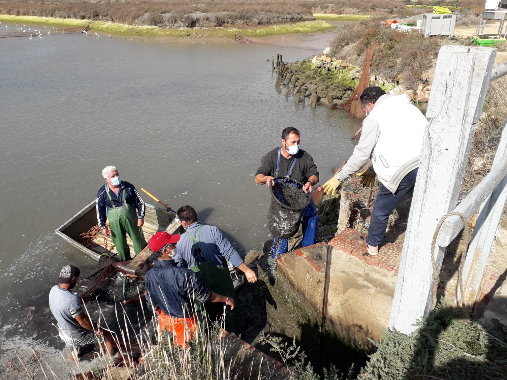 Halloween y esteros: dos formas de 'comerse' Chiclana en octubre Halloween y esteros: dos formas de 'comerse' Chiclana en octubre