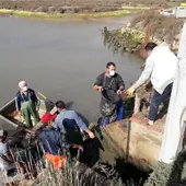 El despesque de Manguita abre la Semana de los Esteros de Chiclana El despesque de Manguita abre la Semana de los Esteros de Chiclana