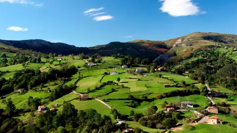 A Deputación de Ourense organiza unha xornada online para fomentar novas oportunidades no rural Paisaje de prados en Galicia
