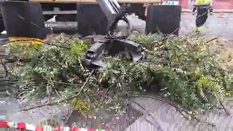 Recogida de ramas en Huelva caídas a causa del temporal Recogida de ramas en Huelva caídas a causa del temporal