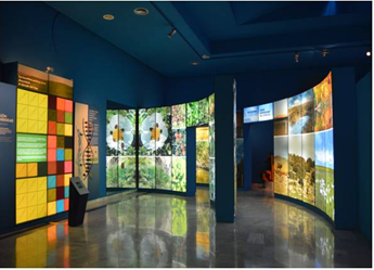 Un museo sorprendente Un museo sorprendente