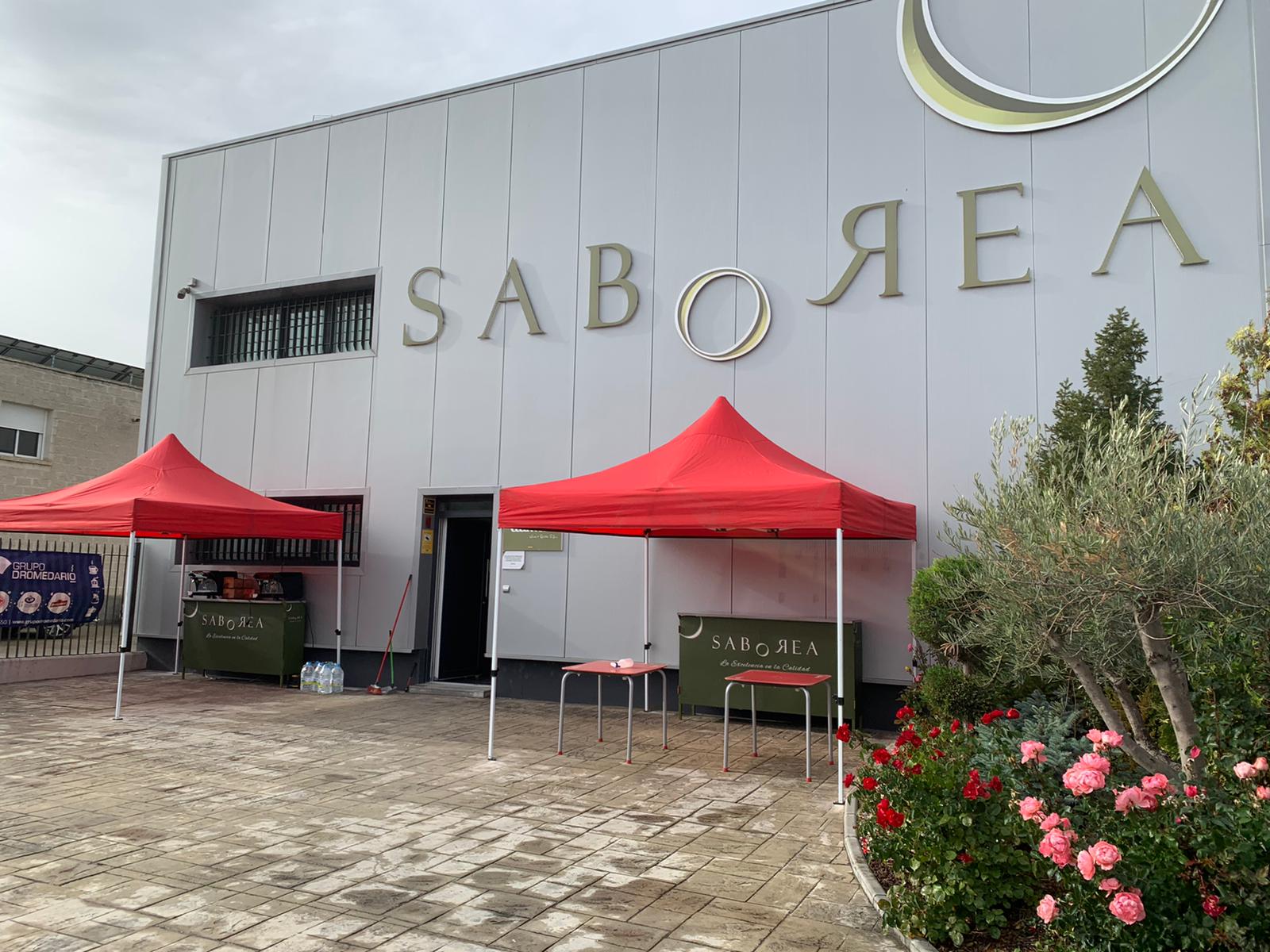Saborea "solidaria" Saborea "solidaria"