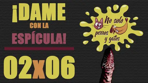 No solo perros y gatos T02x06 No solo perros y gatos T02x06