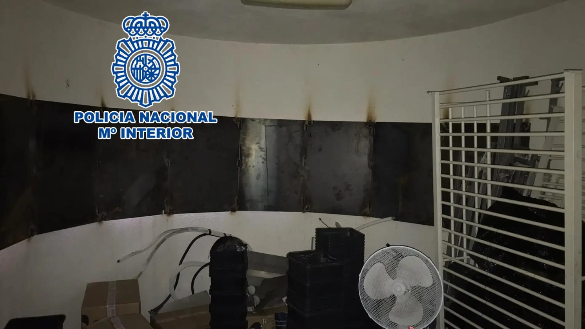 Interior de uno de los narcapisos desmantelados por la Policía Nacional en Elche.