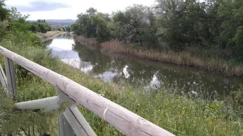 Río Henares a su paso por Alcalá de Henares Río Henares a su paso por Alcalá de Henares
