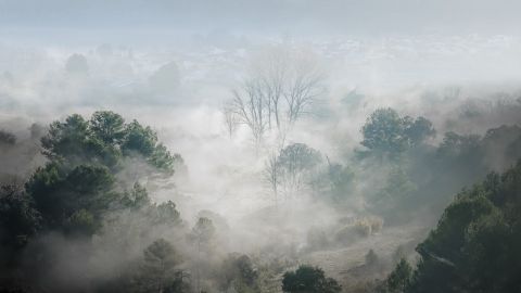 Foto ganadora del Certamen &quot;Alicante Renace 2020&quot;