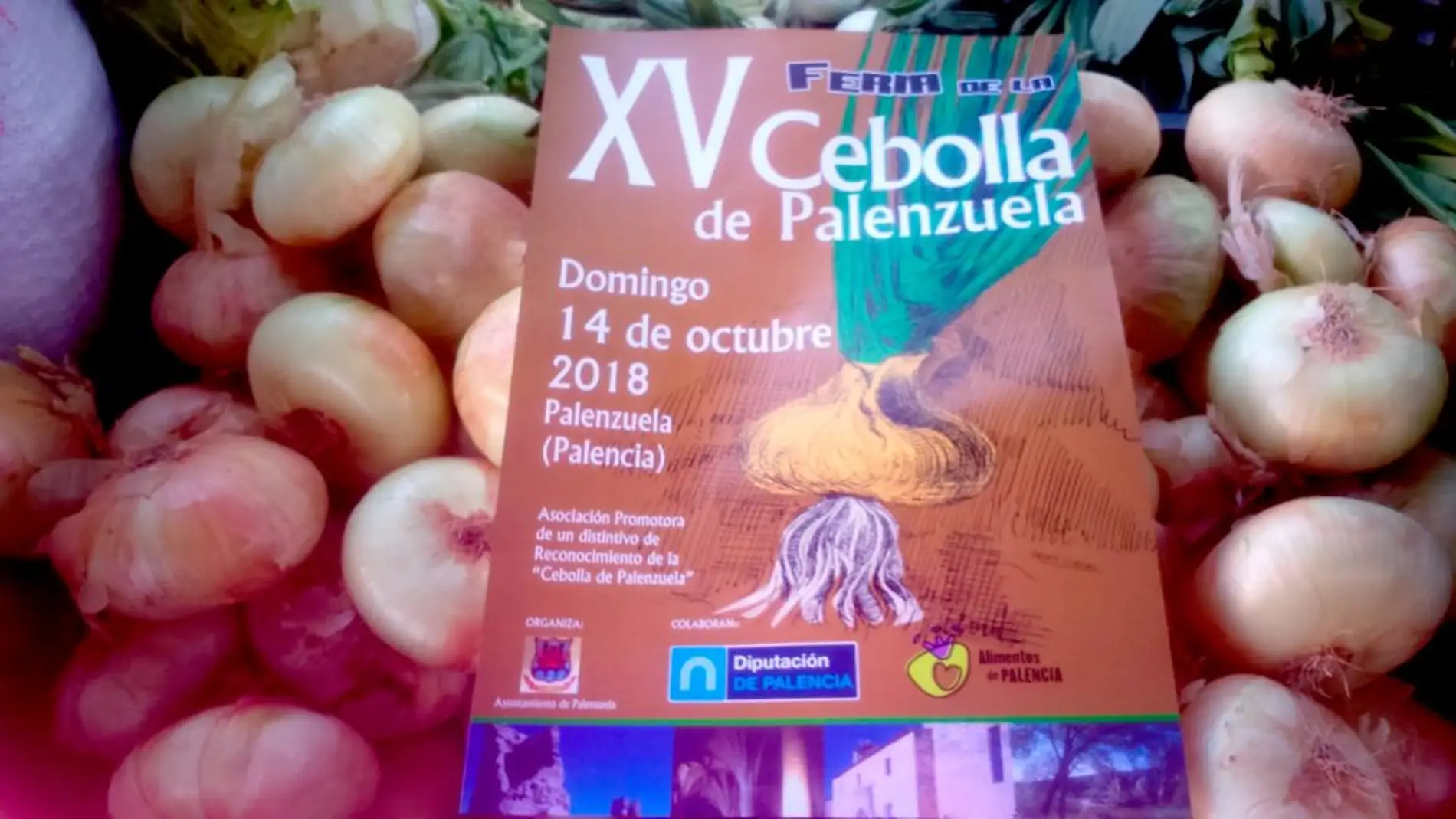Los productores de cebolla de Palenzuela afectados por la situación de la hostelería