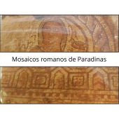 Mosaicos romanos de Paradinas