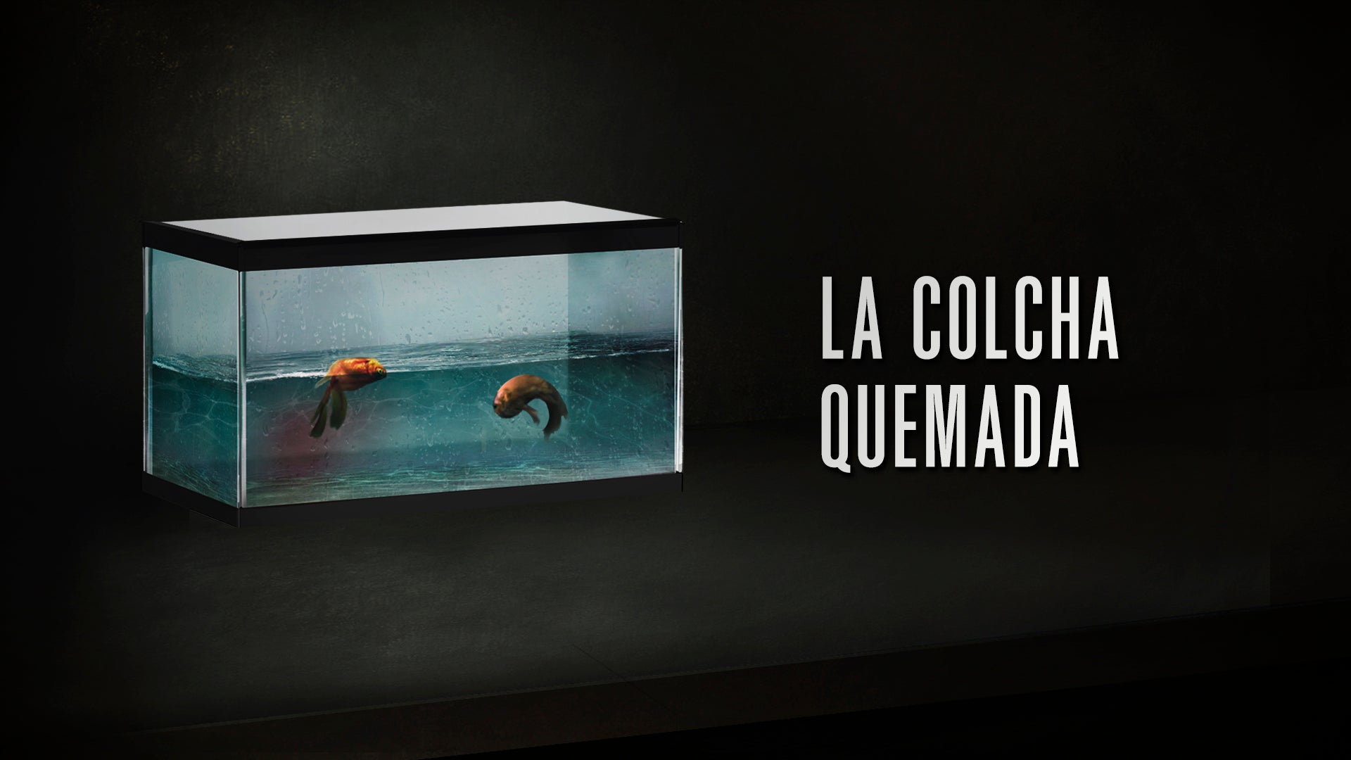 Los peces de la amargura 1x05: La colcha quemada Los peces de la amargura 1x05: La colcha quemada
