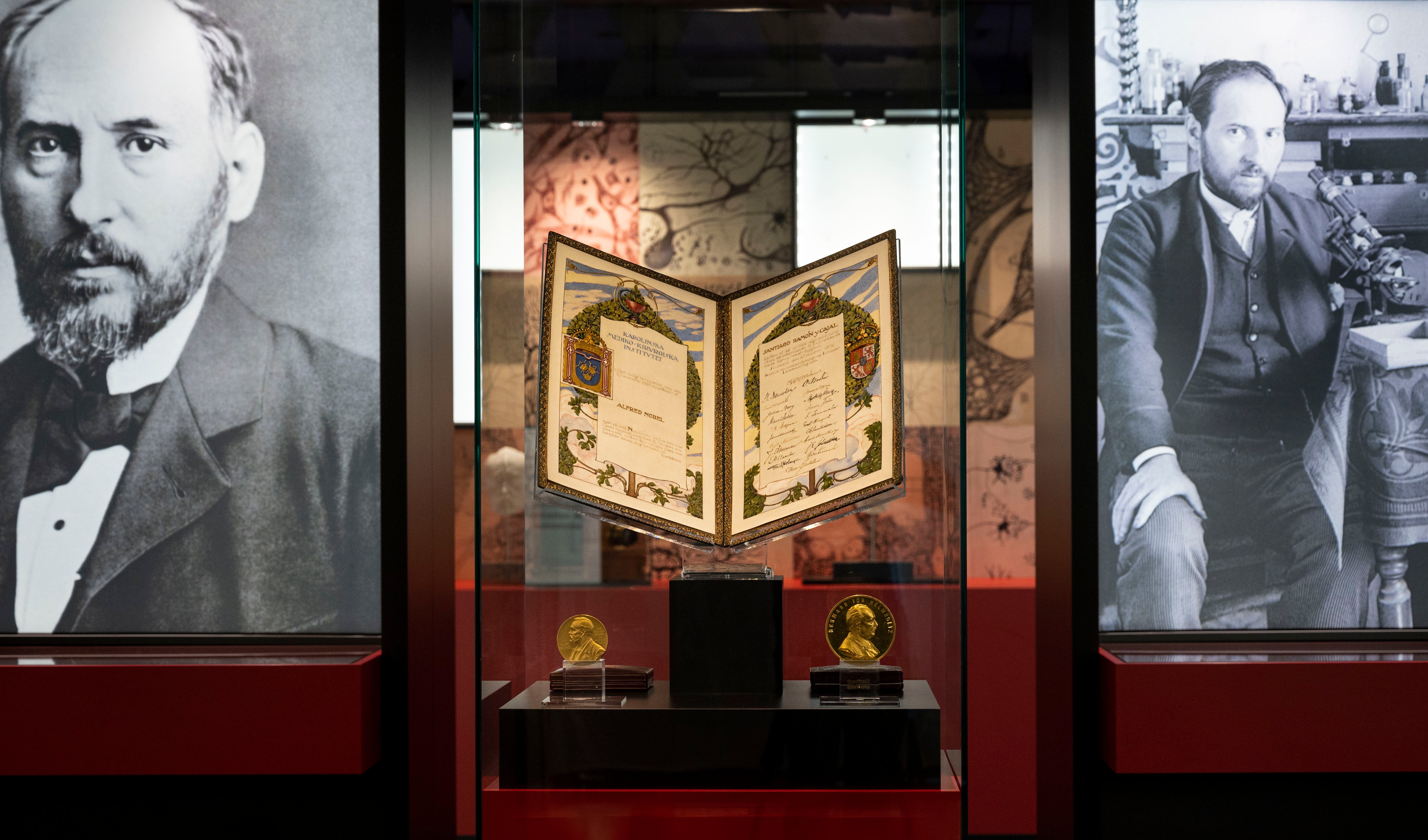 El legado de Ramón y Cajal El legado de Ramón y Cajal