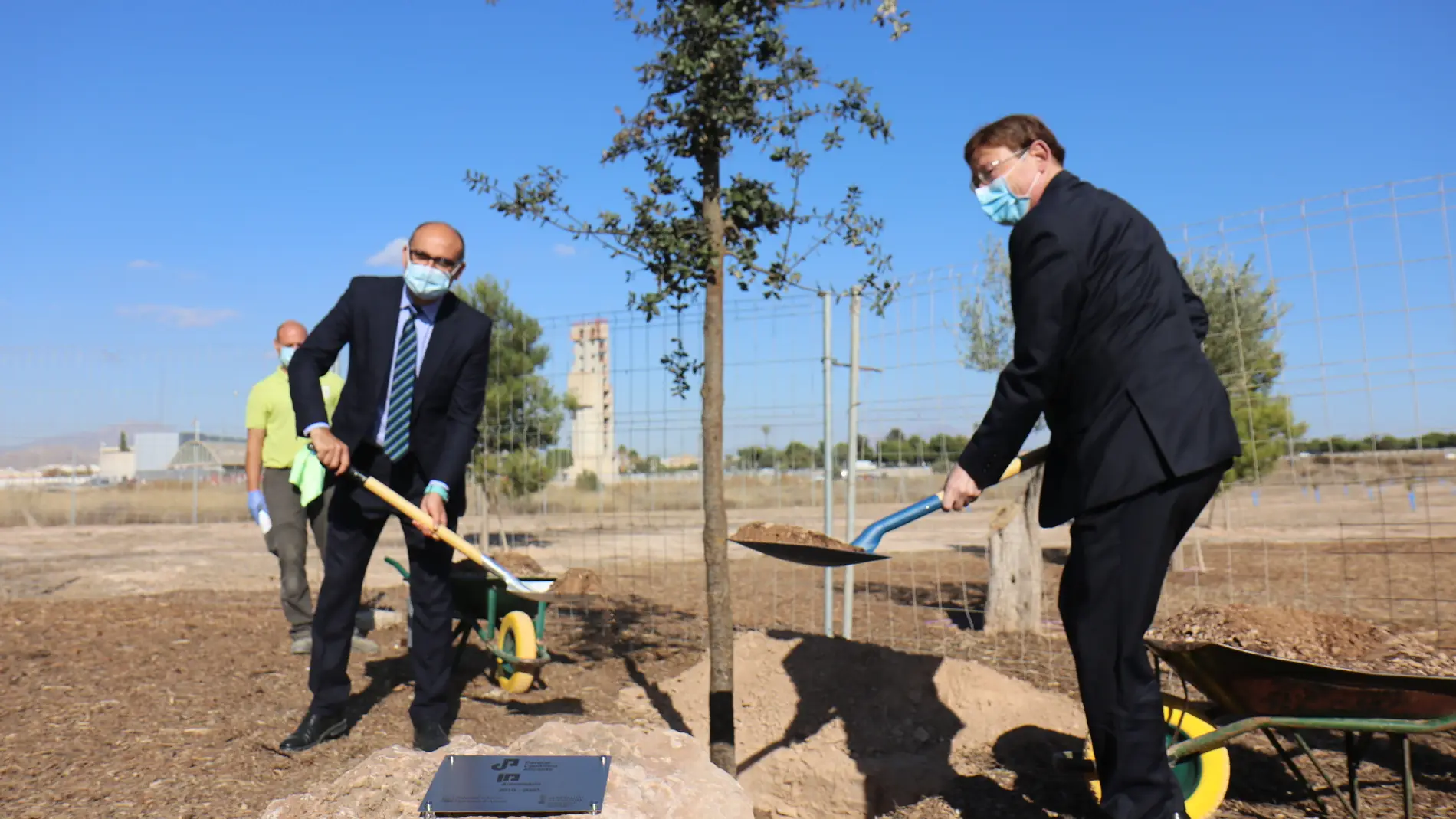 Palomar y Puig plantan un árbol conmemorativo