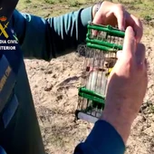 Utensilio para la caza de aves con artes prohibidas Utensilio para la caza de aves con artes prohibidas