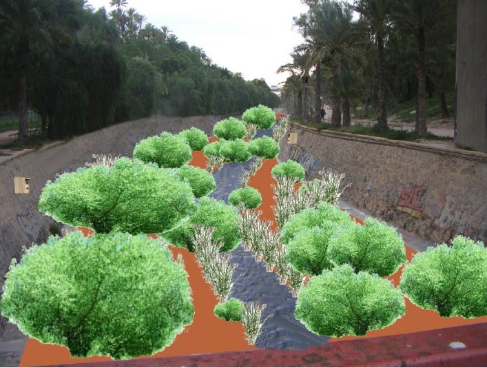 Margalló-Ecologistas en Acció plantea eliminar la solera de hormigón de la ladera del Vinalopó en Elche Margalló-Ecologistas en Acció plantea eliminar la solera de hormigón de la ladera del Vinalopó en Elche