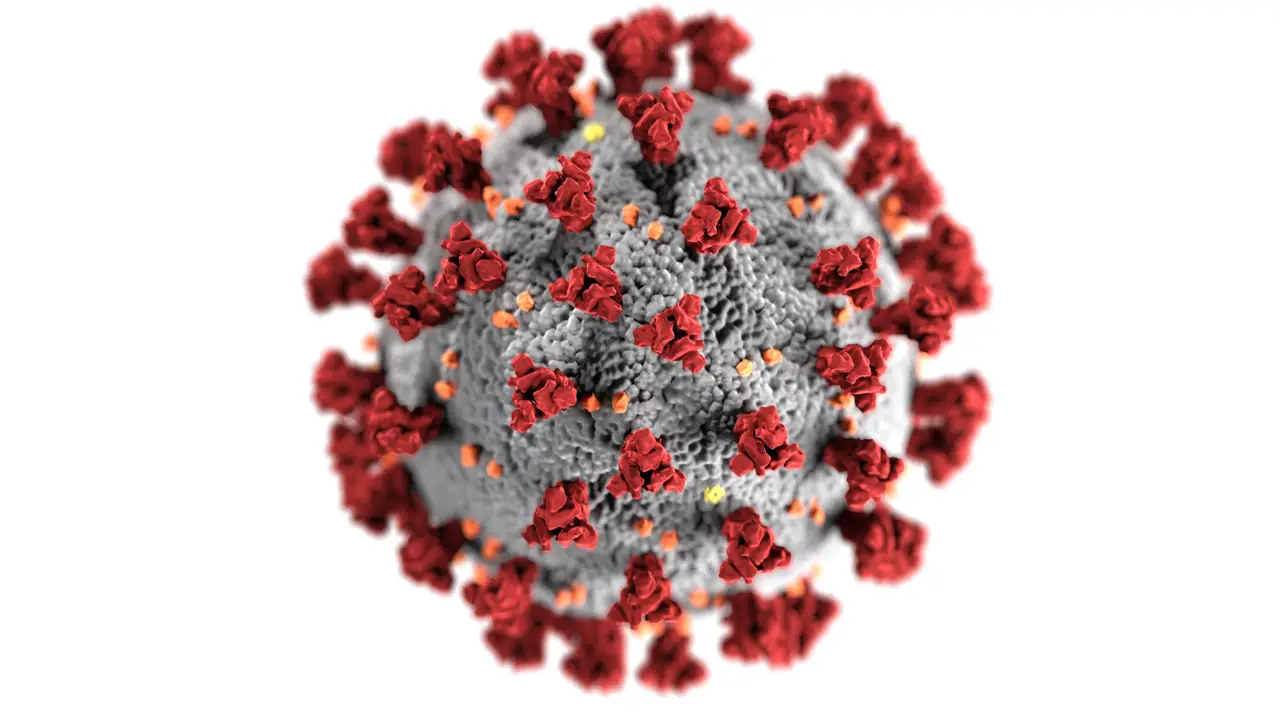 coronavirus coronavirus